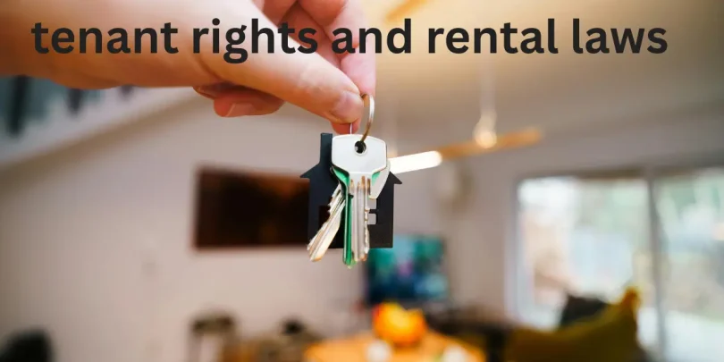 tenant rights and rental laws