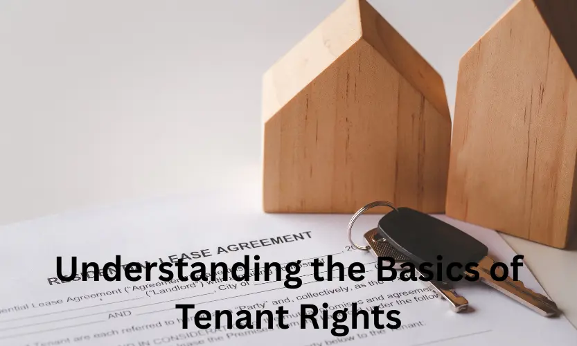 understanding the basics of tenant rights